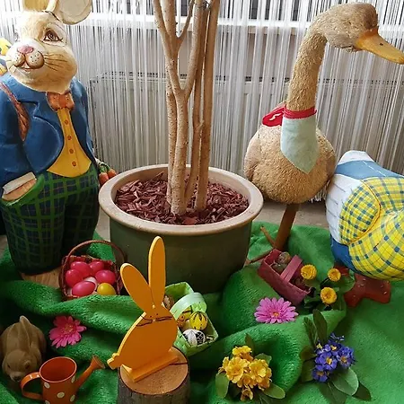 Hotel Merian Rothenburg 3*